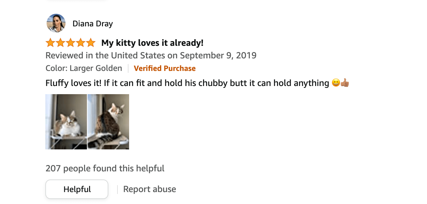 cat window perch