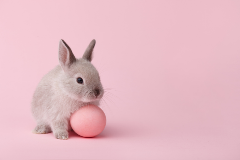 where does the easter bunny live