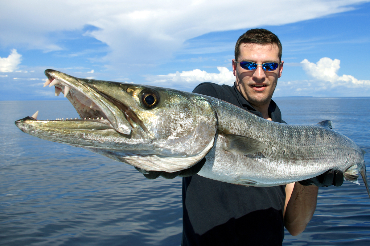 Barracuda Fishing