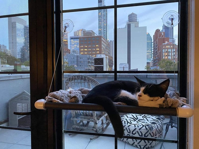 Lcybem Cat Hammocks for Window - Seat Suction Cups Space Saving Cat Bed, Pet Resting Seat Safety Cat Window Perch for Large Cats, Providing All Around 360&deg; Sunbath for Indoor, Weighted up to 33lbs