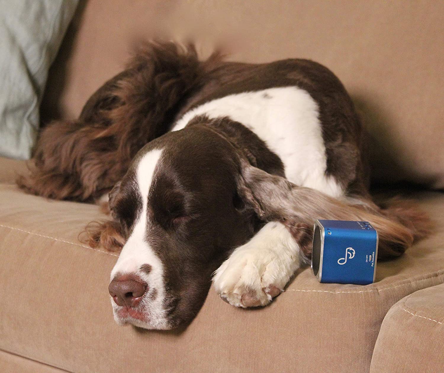 Pet Tunes Bluetooth Speaker Preloaded with Calming Canine Music