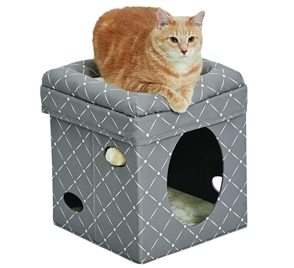 Midwest curious cat cube