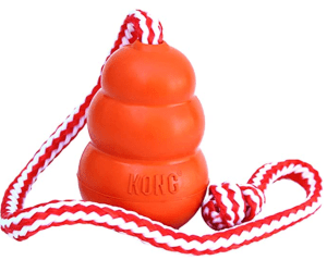 Kong Aqua Floating Fetch Toy