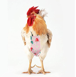 Chicken or Duck Diapers