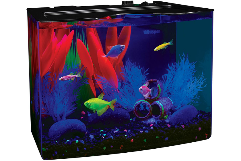 glofish 5-gallon fish tank on white background