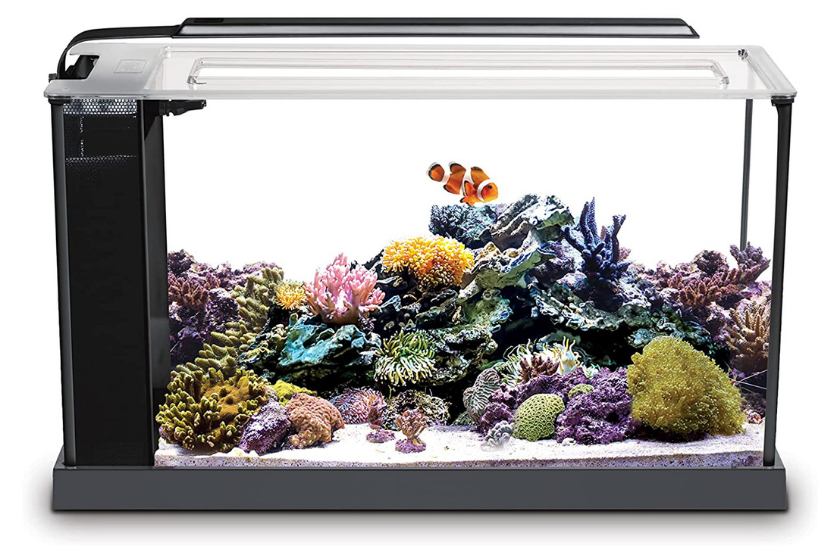 fluval 5-gallon fish tank on white background