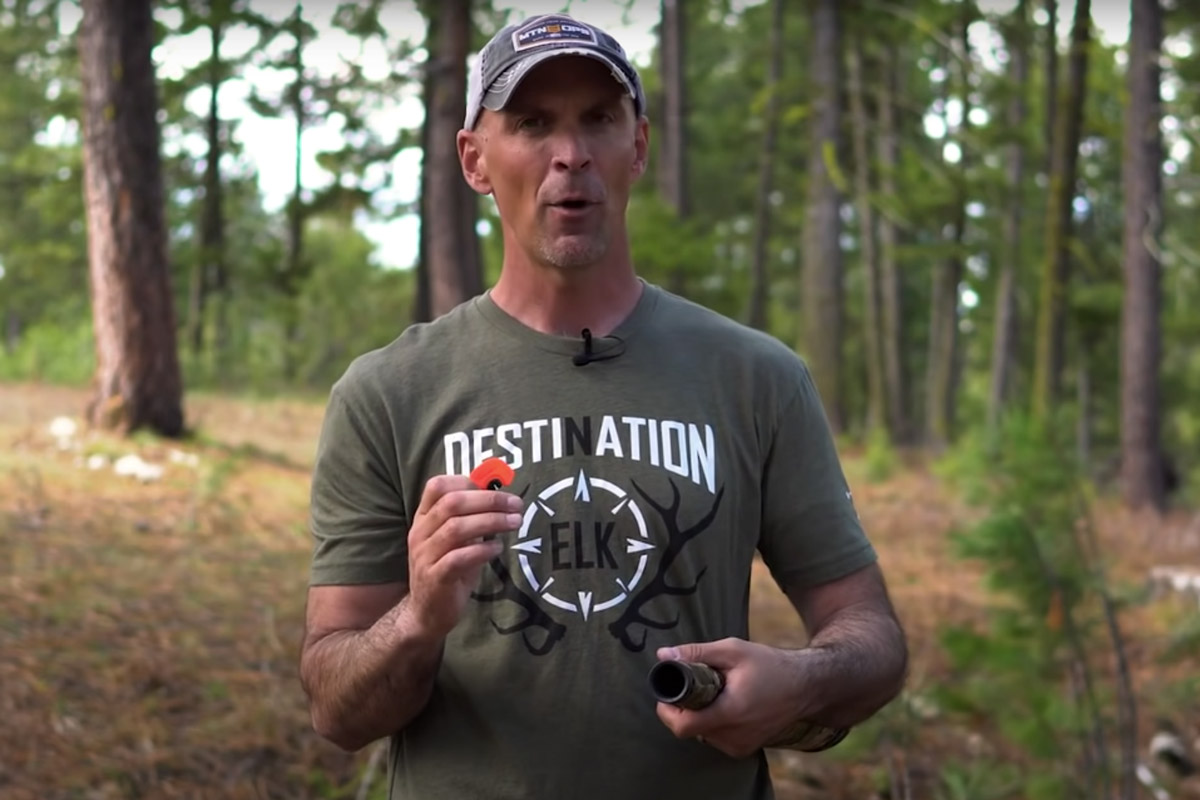 elk call