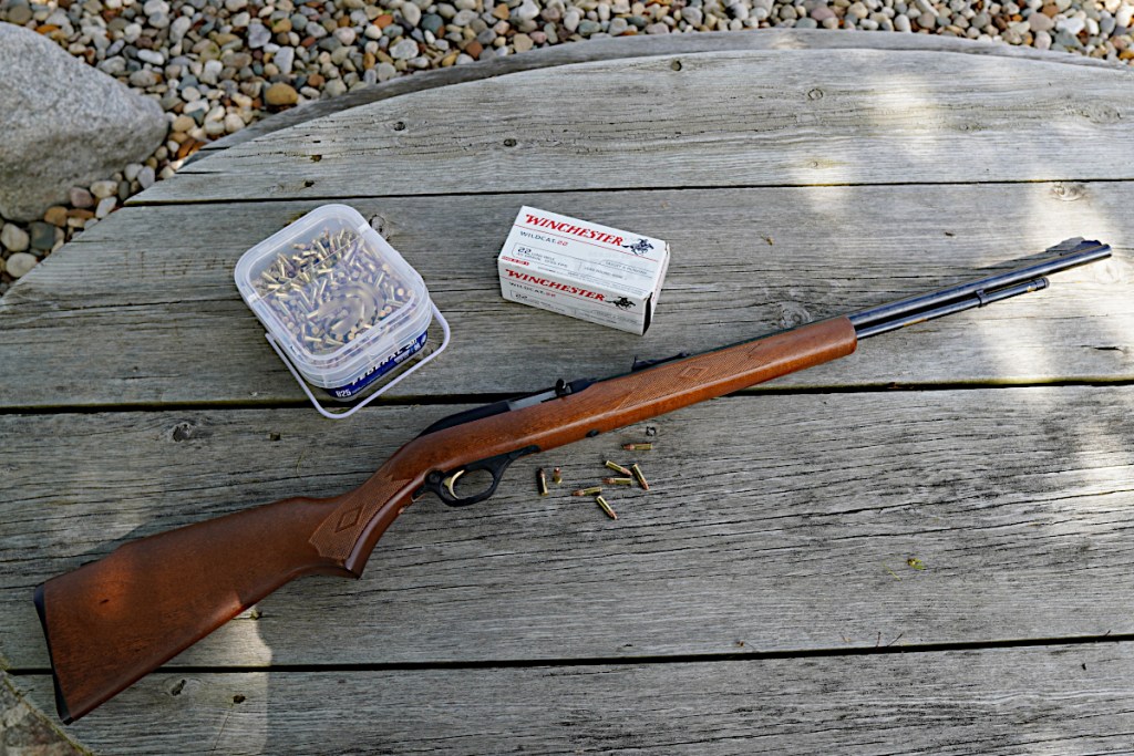 best 22 Rifles