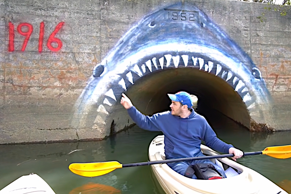 Shark Attacks of 1916