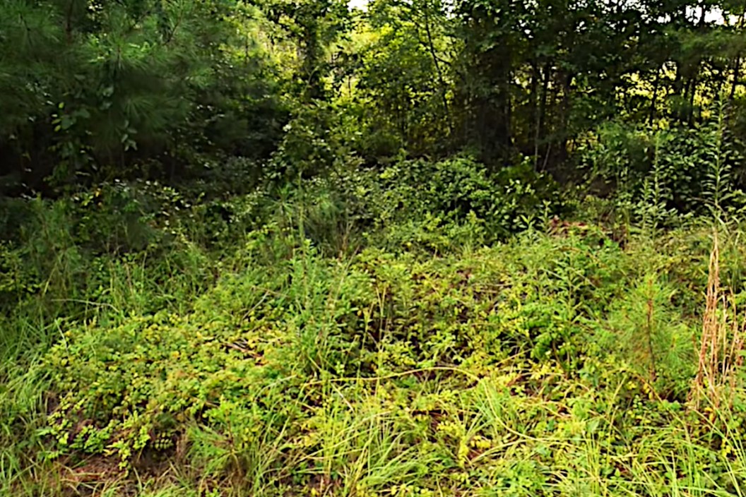 Sniper Camouflage
