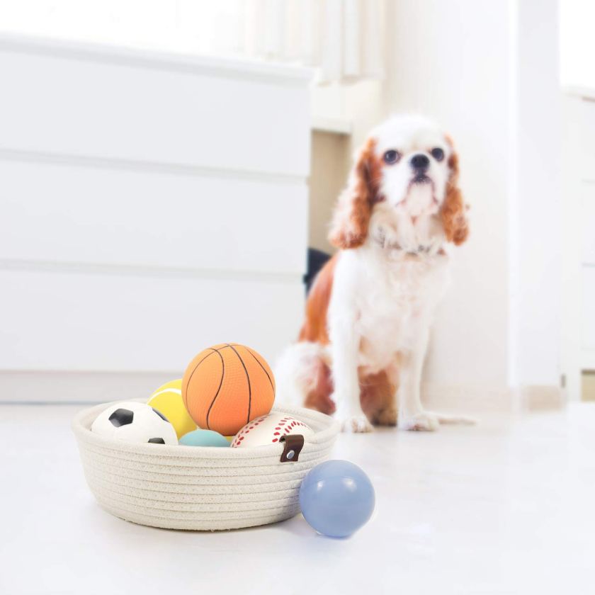 dog toy basket