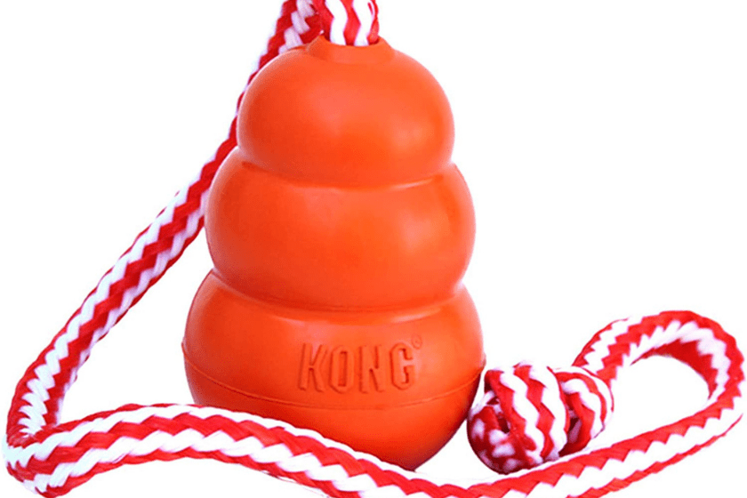 Kong Aqua Floating Fetch Toy