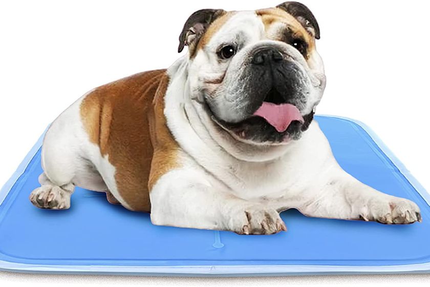 how to keep dog cool in summer &mdash; cooling gel mat for dogs