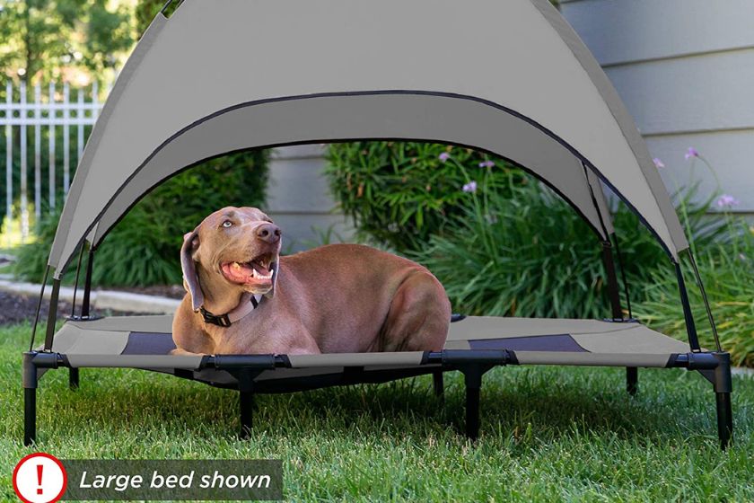 dog bed &mdash; keep dogs cool