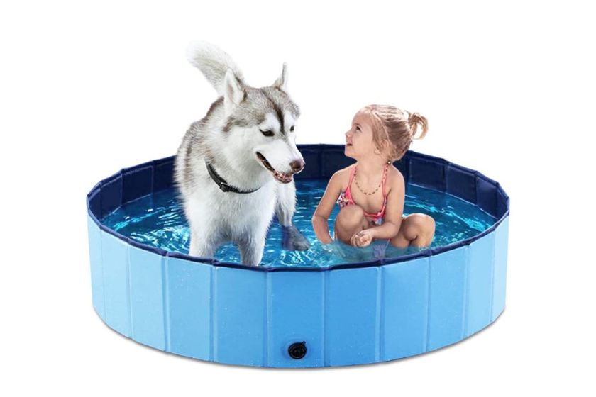 how to keep dog cool in summer &mdash; dog pool