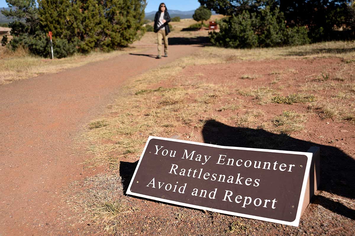 Rattlesnake Safety