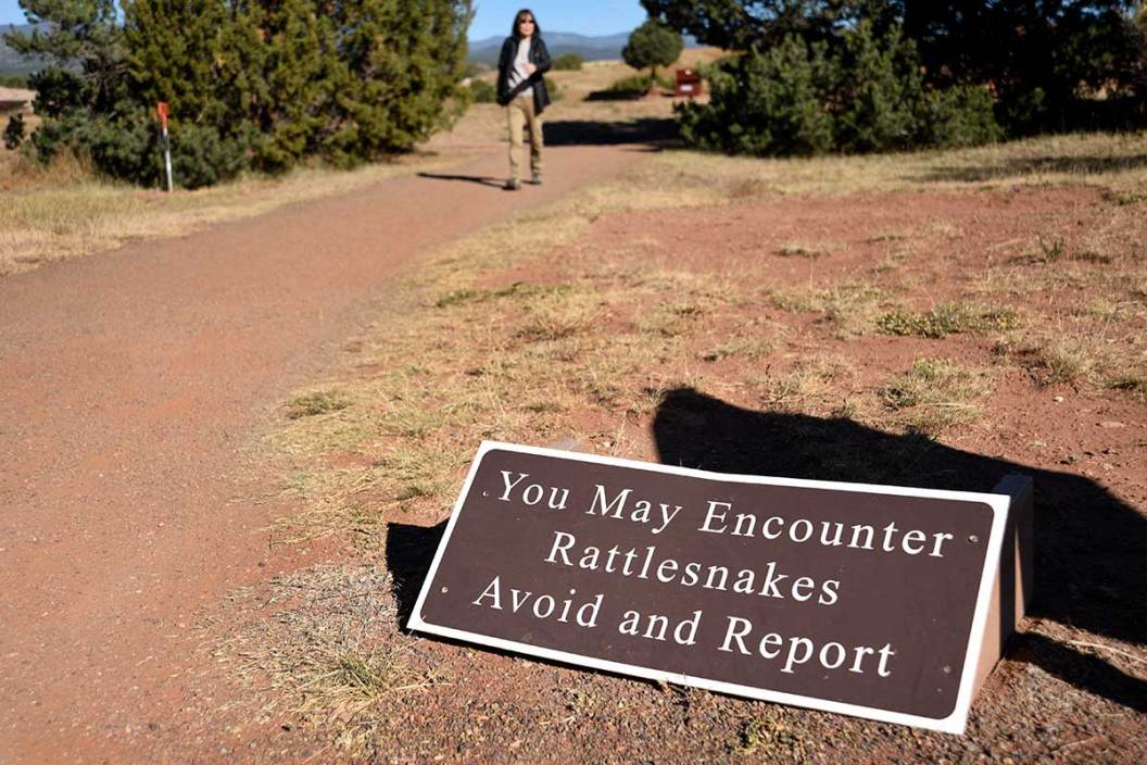 Rattlesnake Safety