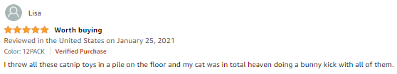 Crinkle Cat Toy