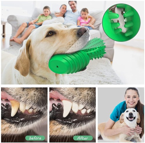 dog toothbrush toy
