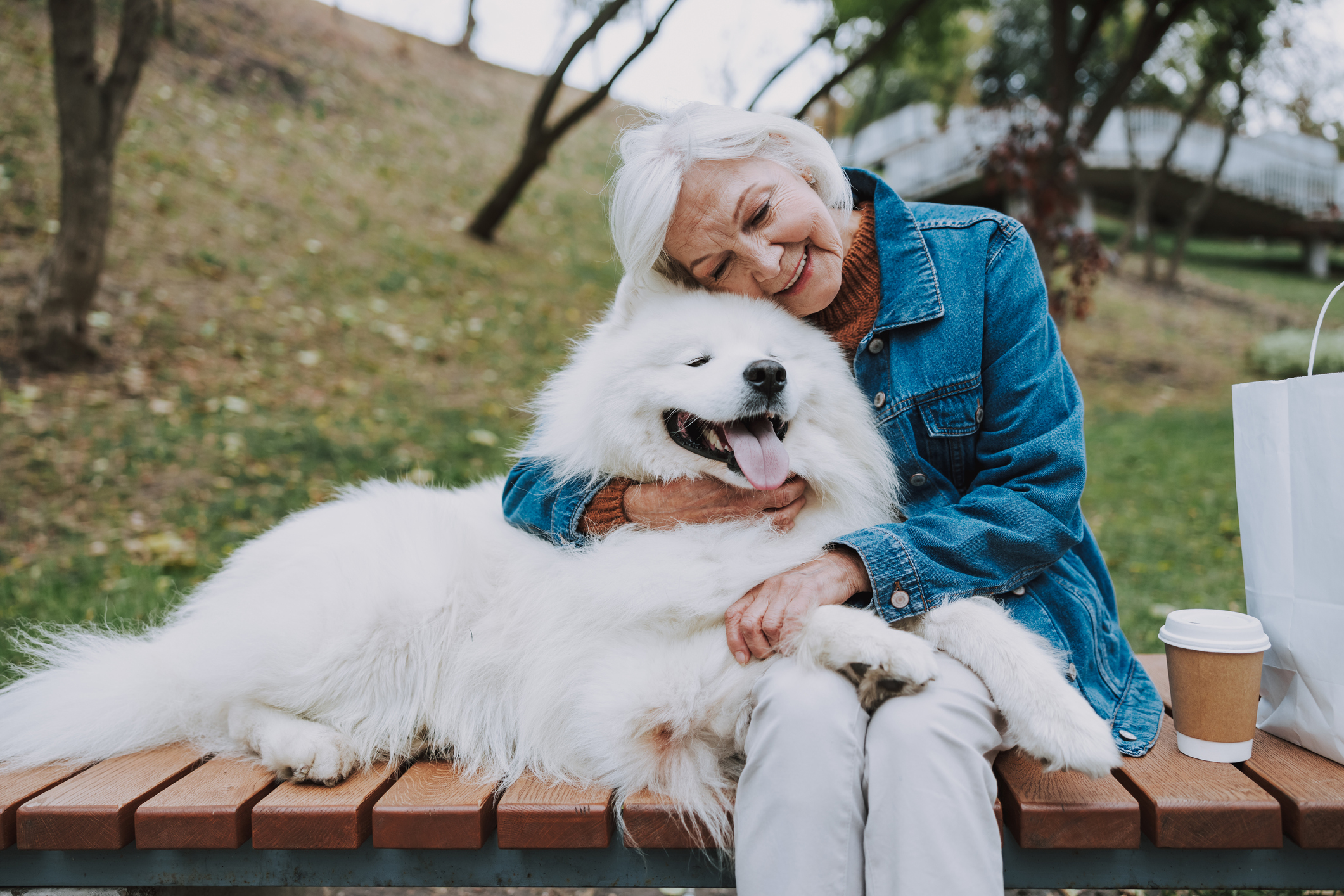 Calm granny hugging her fluffy pedigree dog stock photo