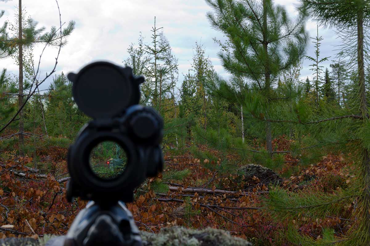 Red Dot Sights
