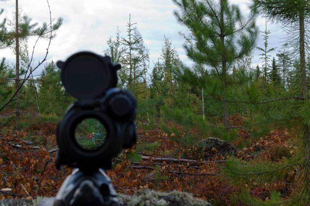 Red Dot Sights