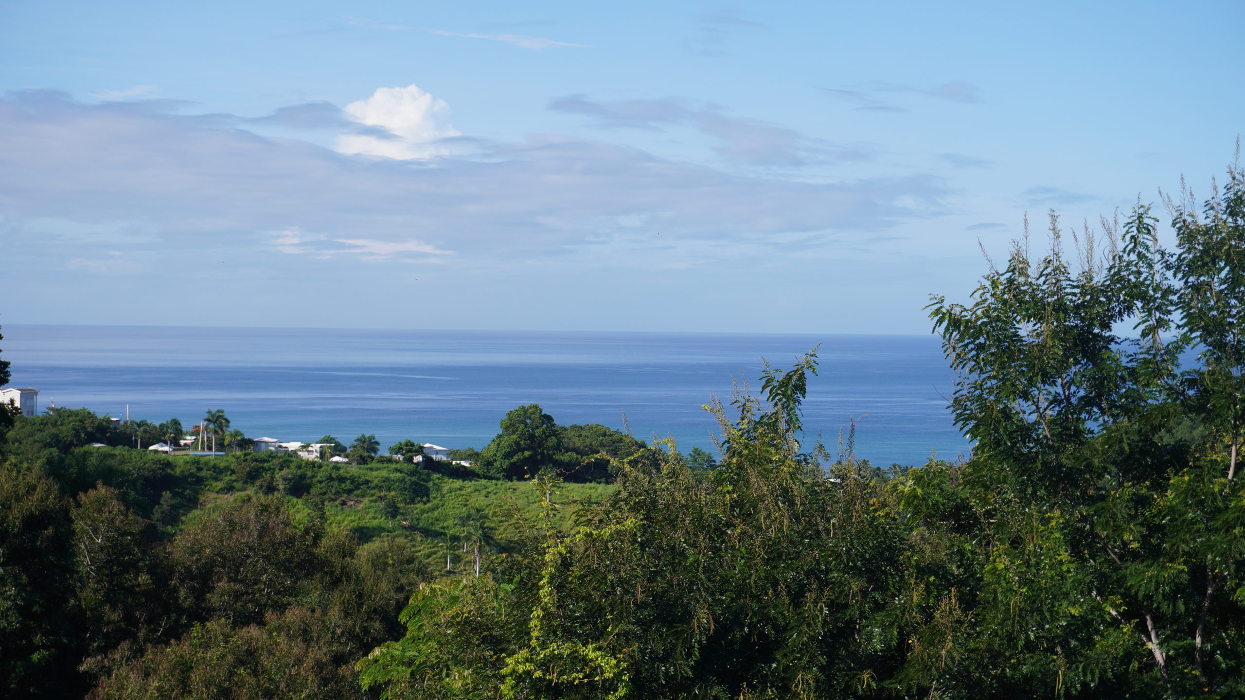 Weekend Trip to Puerto Rico