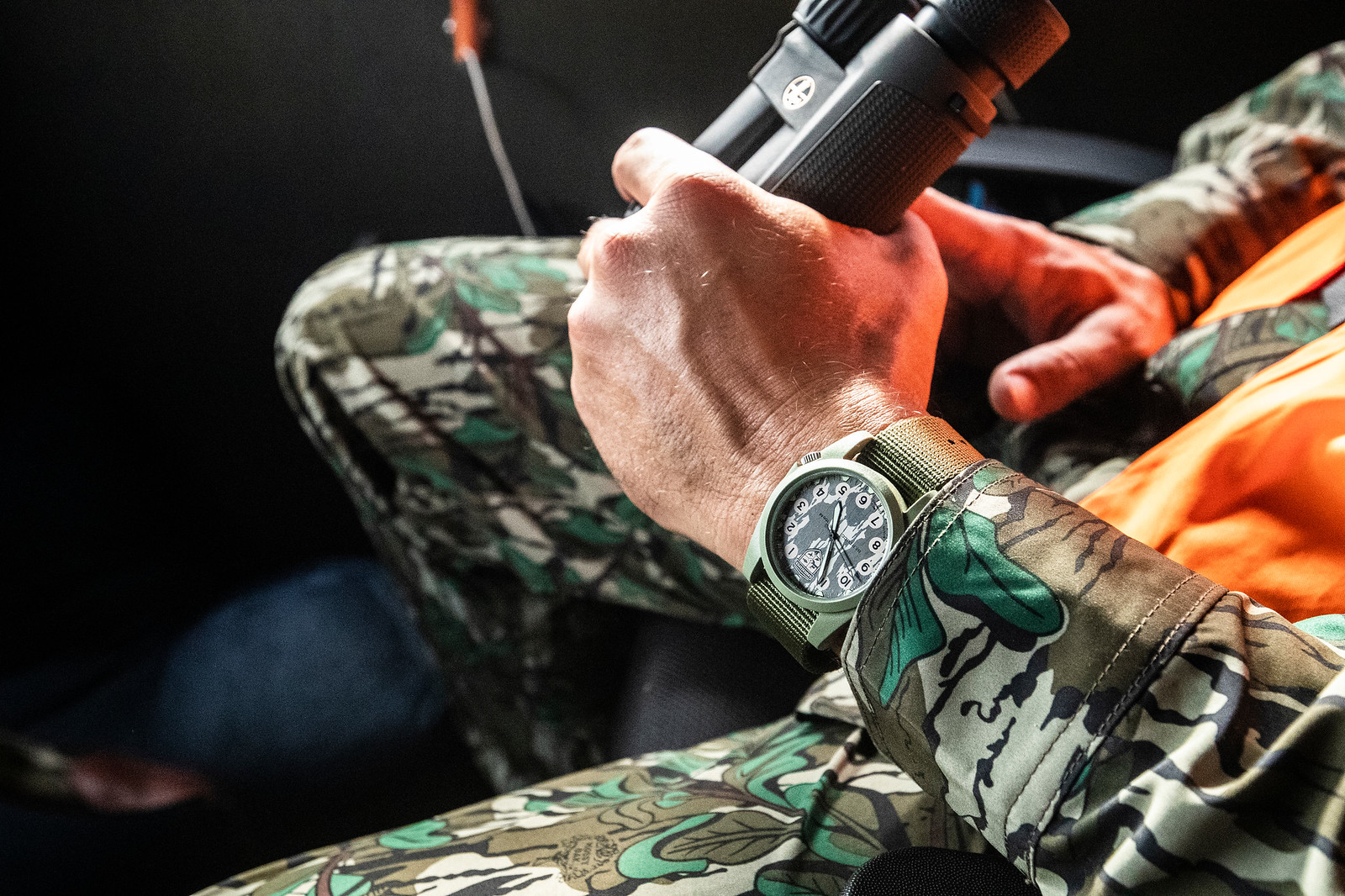 Scouting Deer