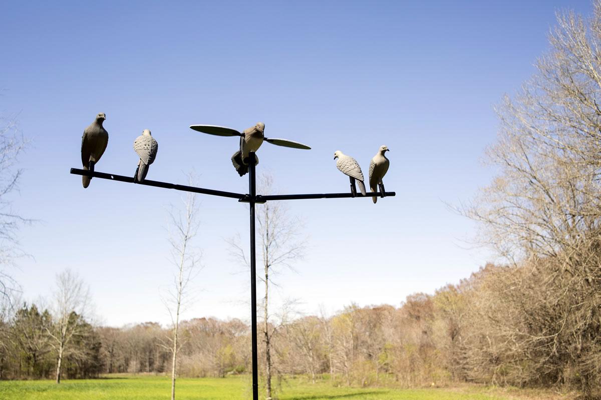 dove hunting decoy