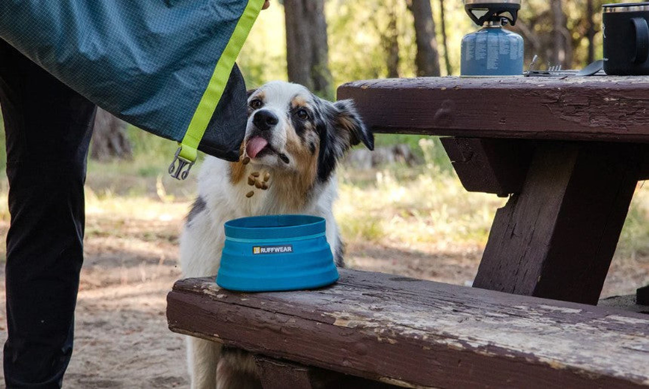 ruffwear dog food bowl while camping