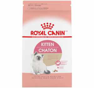 best kitten food