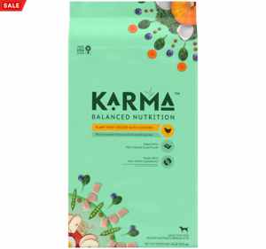 best pet food