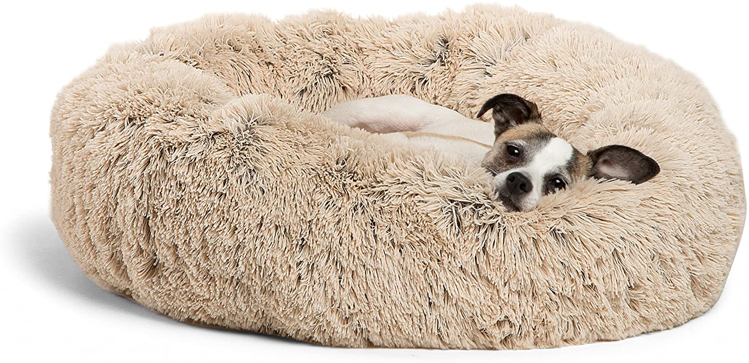 calming dog bed