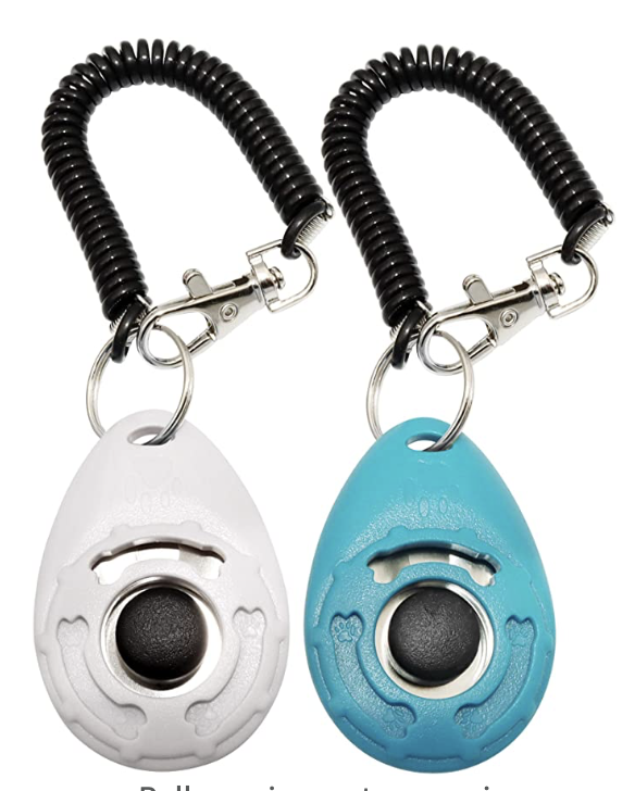 Training Clicker