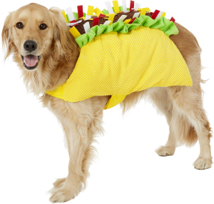 big dog halloween costumes