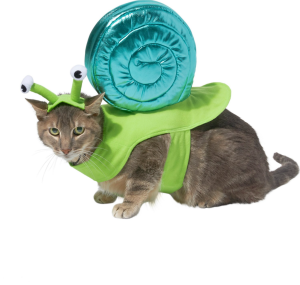 cat halloween costumes