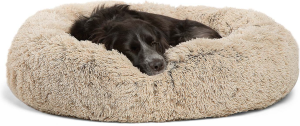 chewy dog beds