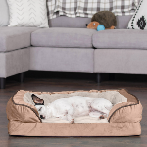 chewy dog beds