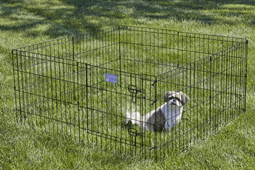 portable dog fence