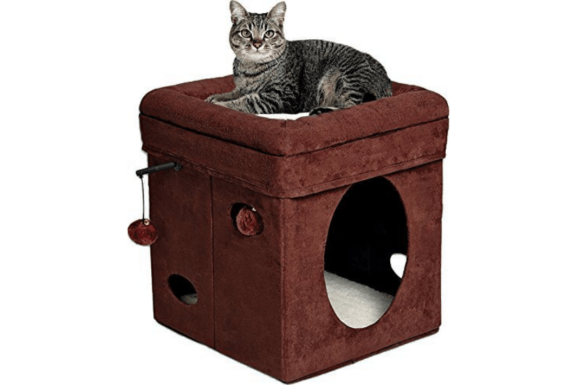 cat toys