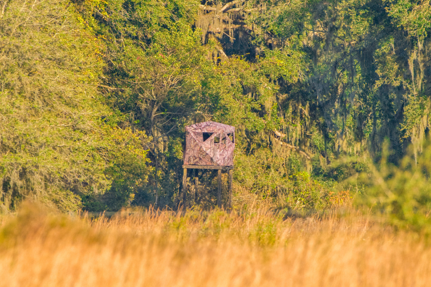 worst states for deer hunting