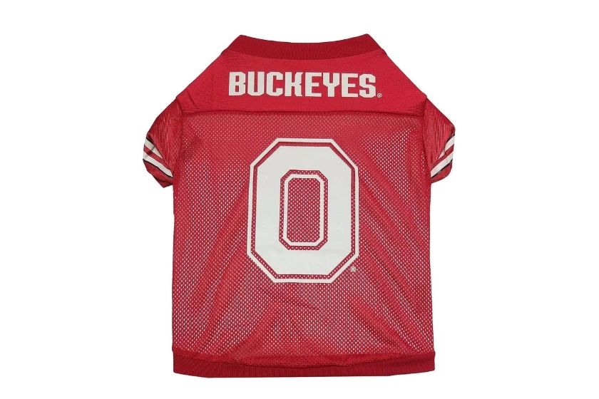 dog football jerseys (ohio state buckeyes)