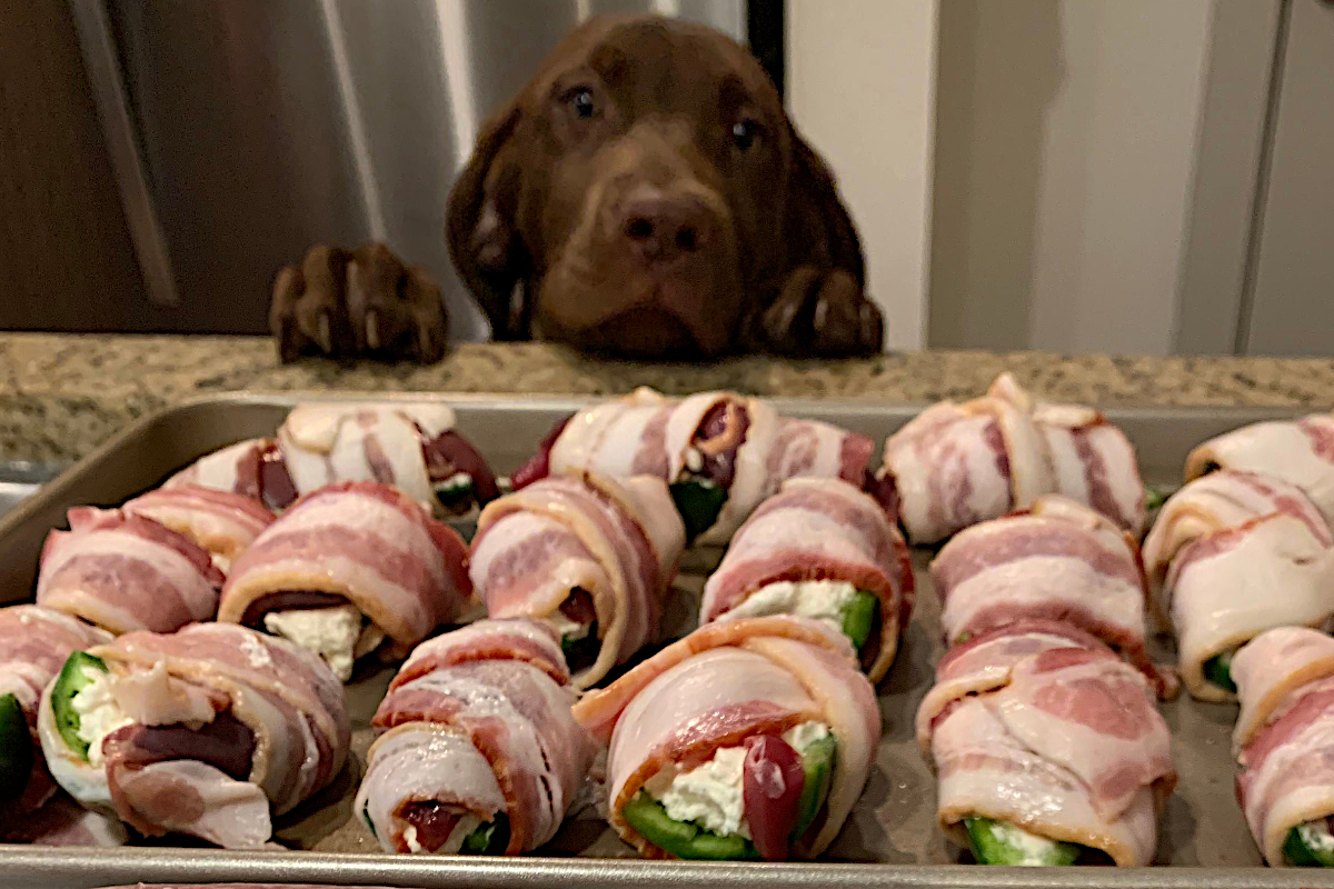 Dove Recipe
