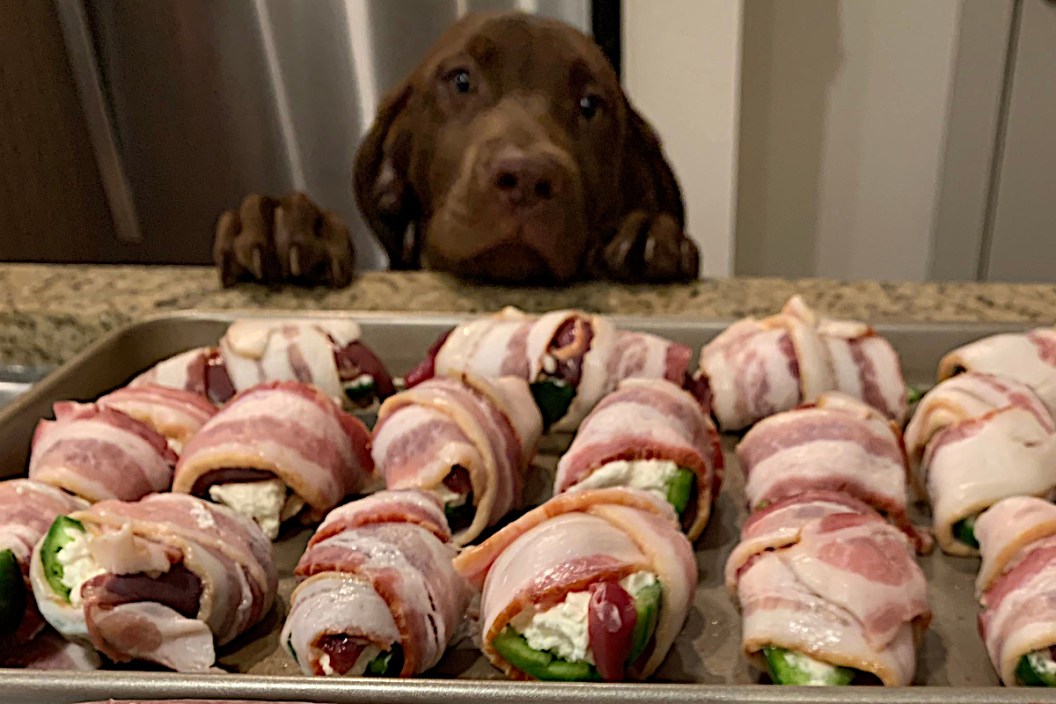 Dove Recipe