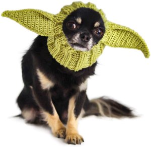pet jackets