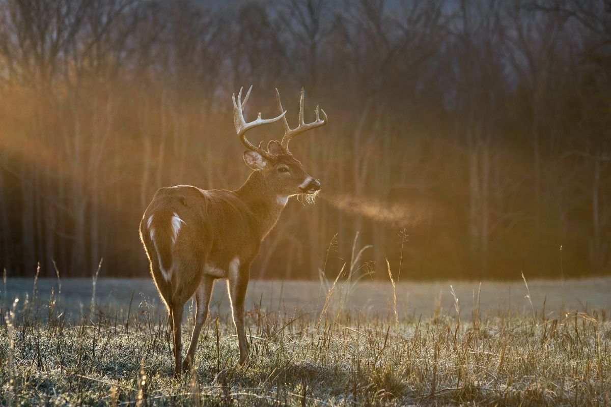 best gifts for hunters