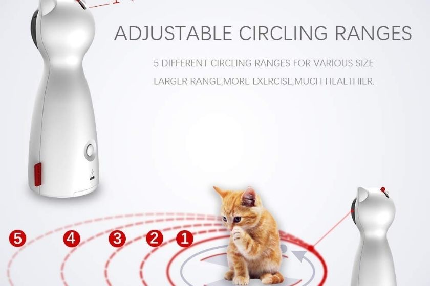 cat laser toy 