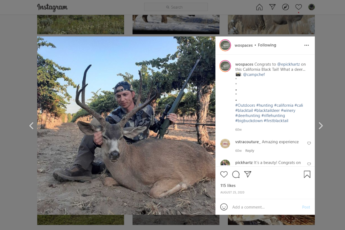 Social Media Hunting