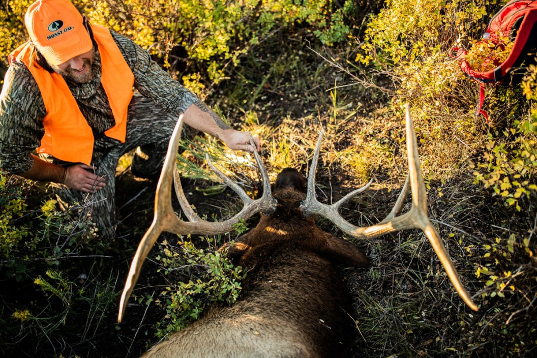 What is the Hunters Role in Wildlife Conservation