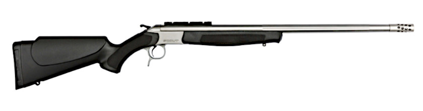 .45-70 Govt